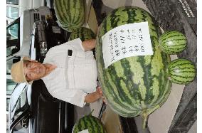 Takamitsu wins water melon contest