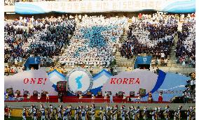 North and South Koreas mark end of Japan's colonial rule