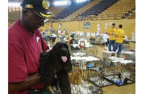 Pets lost in Hurricane Katrina receive food and shelter