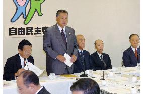 LDP formulates 2nd new constitution draft