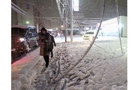 Heavy snowfall hits southwestern Japan