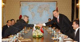 Japan, Turkey agree to counter Iran's nuclear research resumption