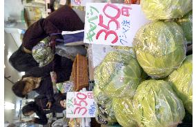 Vegetable prices soar up in unusually cold winter