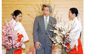 Koizumi presented with plum bonsai