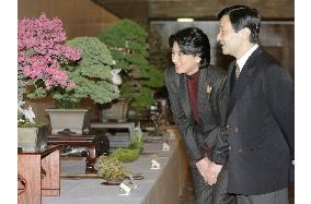 Crown prince, princess visit 'bonsai' exhibition