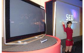 Toshiba, Canon delay next-generation SED TV's release till late 2007