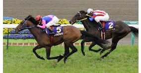 Horse racing: Meisho Samson wins Satsuki-sho