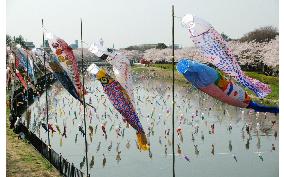 Carp streamers put up for May 5 Children's Day