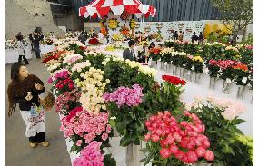 World Rose Convention opens in Osaka