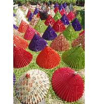 Japanese umbrellas dried in sun