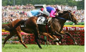 Meisho Samson wins Japanese Derby