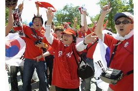 Supporters at World Cup matches