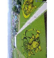 'Wind and Thunder Gods' paintings in rice paddy field