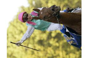 Rail Link wins Prix de l'Arc de Triomphe