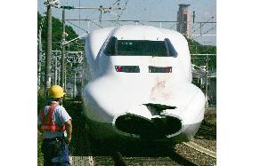 Tokaido Shinkansen bullet train services halted