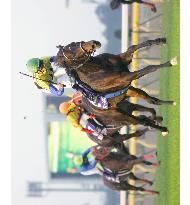 Deep Impact wins Japan Cup