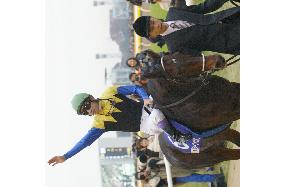 Deep Impact wins Japan Cup