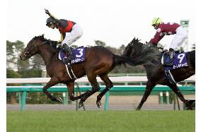 Dream Journey wins Asahi Futurity Stakes