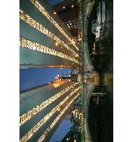 Efforts being made to bring sunlight back to Nihombashi bridge