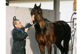 Deep Impact leaves for Hokkaido after victory in Arima Kinen