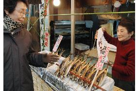 Artificial raising of mackerels under way