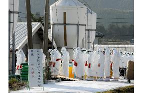 Miyazaki begins disposal of 12,000 chickens due to bird flu