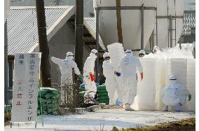 12,000 chicks at bird-flu infected Miyazaki farm incinerated