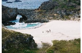 Ogasawara islands shortlisted as World Heritage site