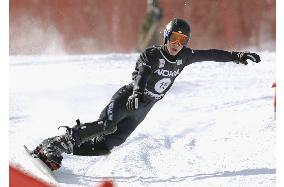 Canada's Morison wins men's parallel giant slalom