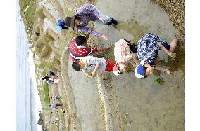Volunteers take part in rice-planting in Wajima