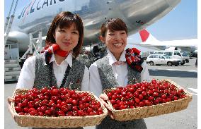 Season's first shipment of American cherries arrive in Japan