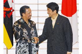 Japan inks FTA with Brunei for stable energy supply