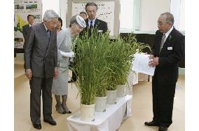 Emperor, empress briefed on rice growing