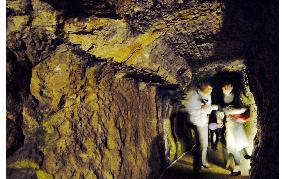 Japan's Iwami silver mine to become World Heritage site