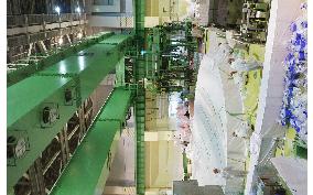 Crane damage at Niigata nuke plant may delay core inspections