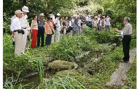 Visitors tour inner gardens of Imperial Palace