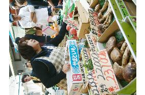 Matsutake harvest likely to be leanest in postwar years