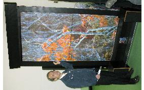 Shinoda Plasma to build 2-meter-by-3-meter display panels