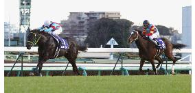 Horse racing: Goshawk Ken wins Asahi Cup Futurity Stakes