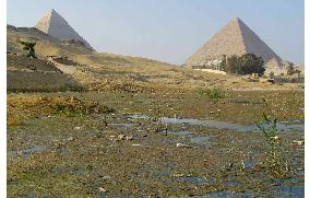 Egypt scientists say rising groundwater endangers monuments