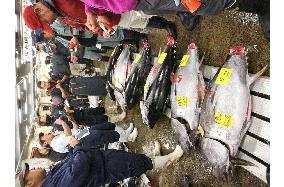 Tuna sold for 6 mil. yen at year's 1st auction in Tokyo