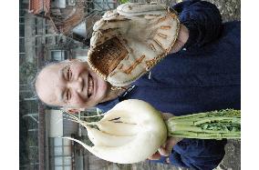 Farmer happy with his glove-shaped radish