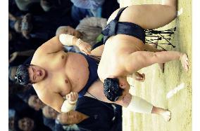 Asashoryu falls to 2nd defeat, tied with Hakuho at spring sumo