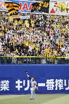 Kanemoto gets 2,000th career hit in Hanshin's victory