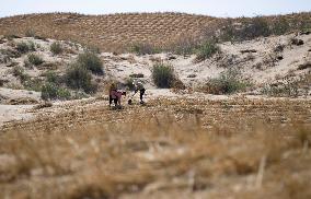 CHINA-FIGHT AGAINST DESERTIFICATION