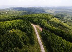 CHINA-FIGHT AGAINST DESERTIFICATION