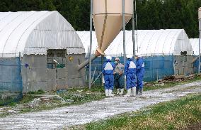 Akita inspects chicken farms over deadly avian flu virus