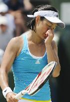 Tennis: Thailand's Tamarine spoils Date's comeback