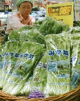 Prefectures hoping to boost green image in 'mizuna' rivalry