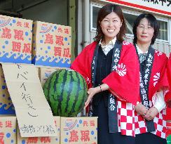 Japan exports watermelons to UAE for 1st time